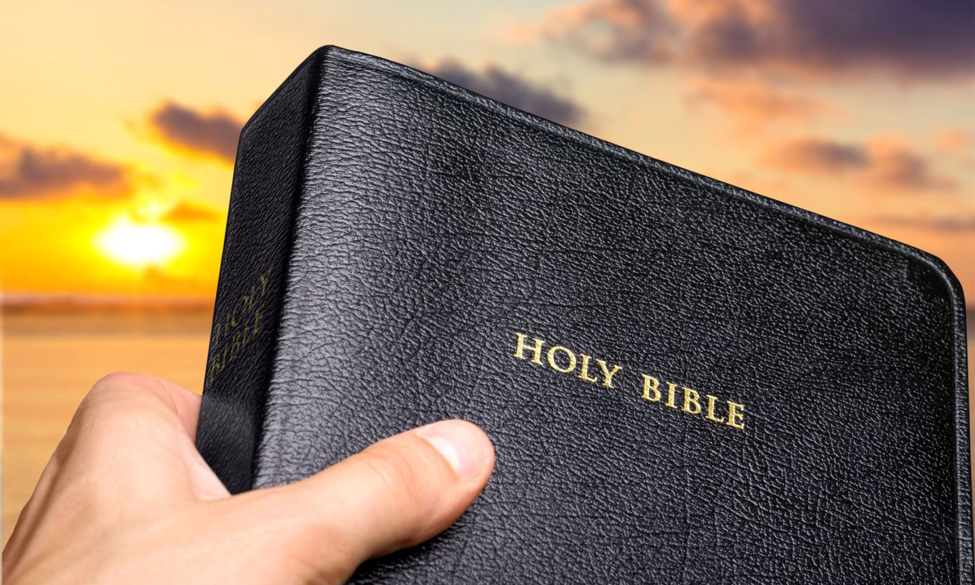 Making a Living Connection